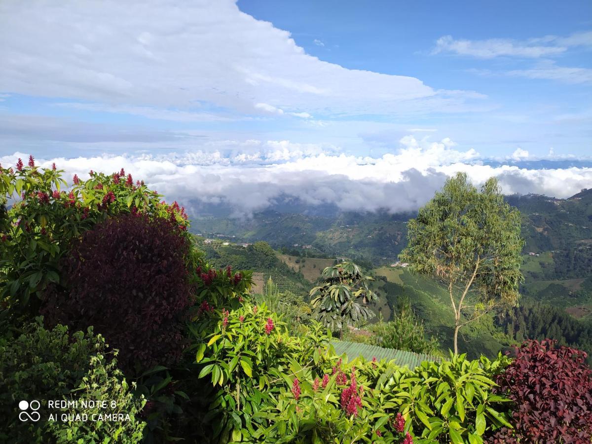 Mirador Finca Morrogacho Manizales Exterior photo