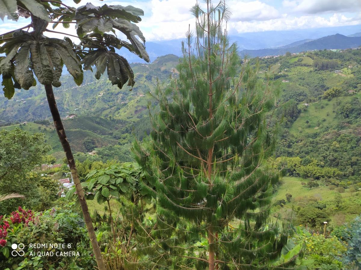 Mirador Finca Morrogacho Manizales Exterior photo