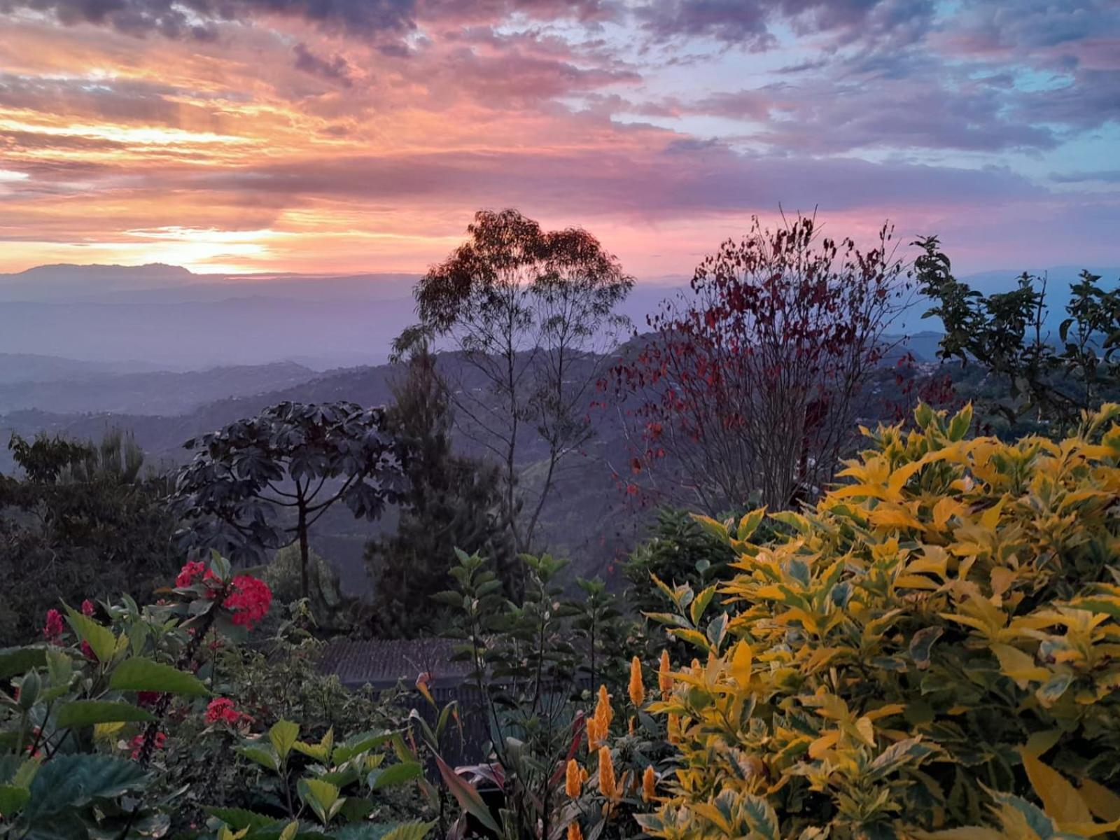 Mirador Finca Morrogacho Manizales Exterior photo