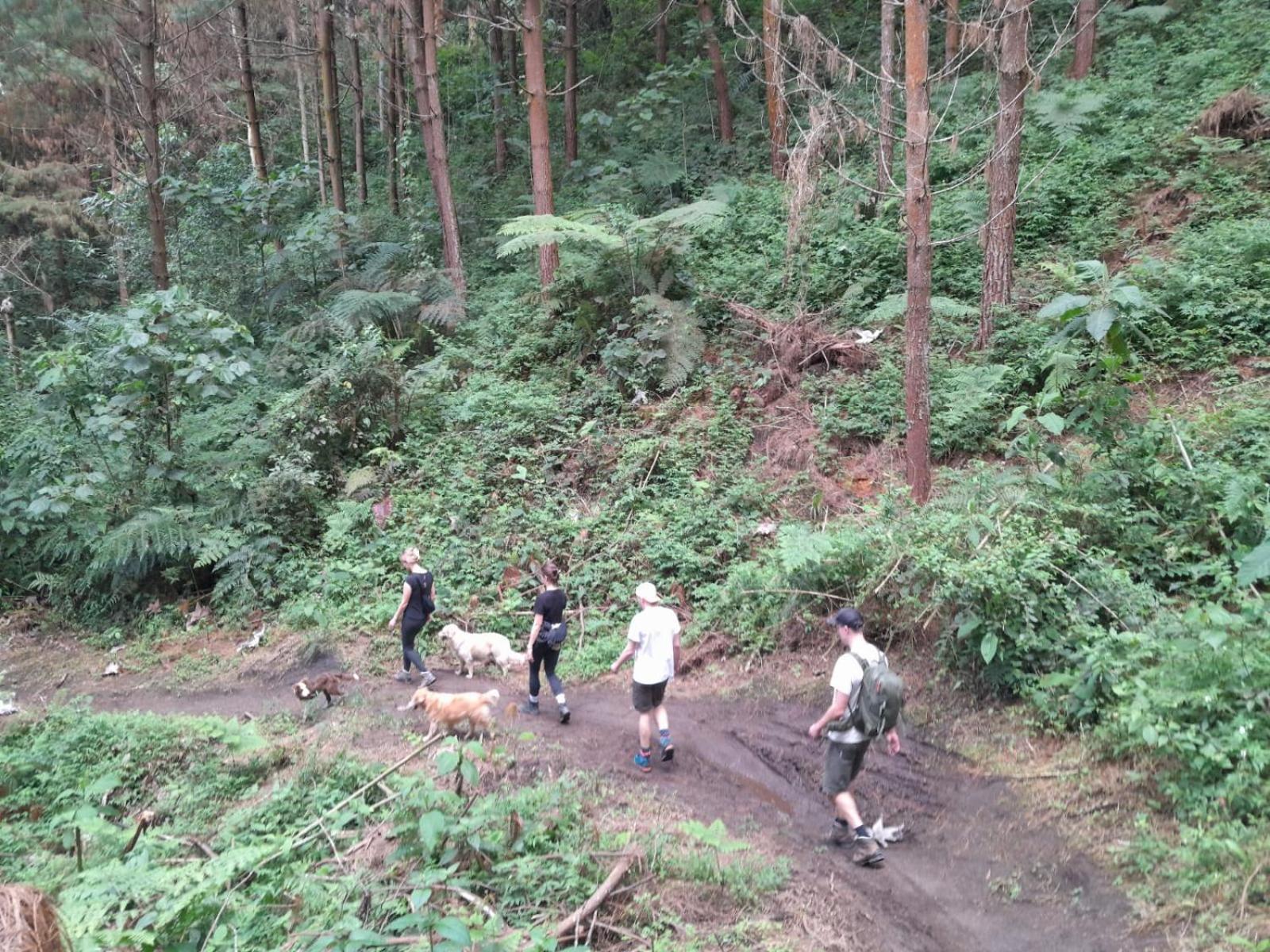 Mirador Finca Morrogacho Manizales Exterior photo