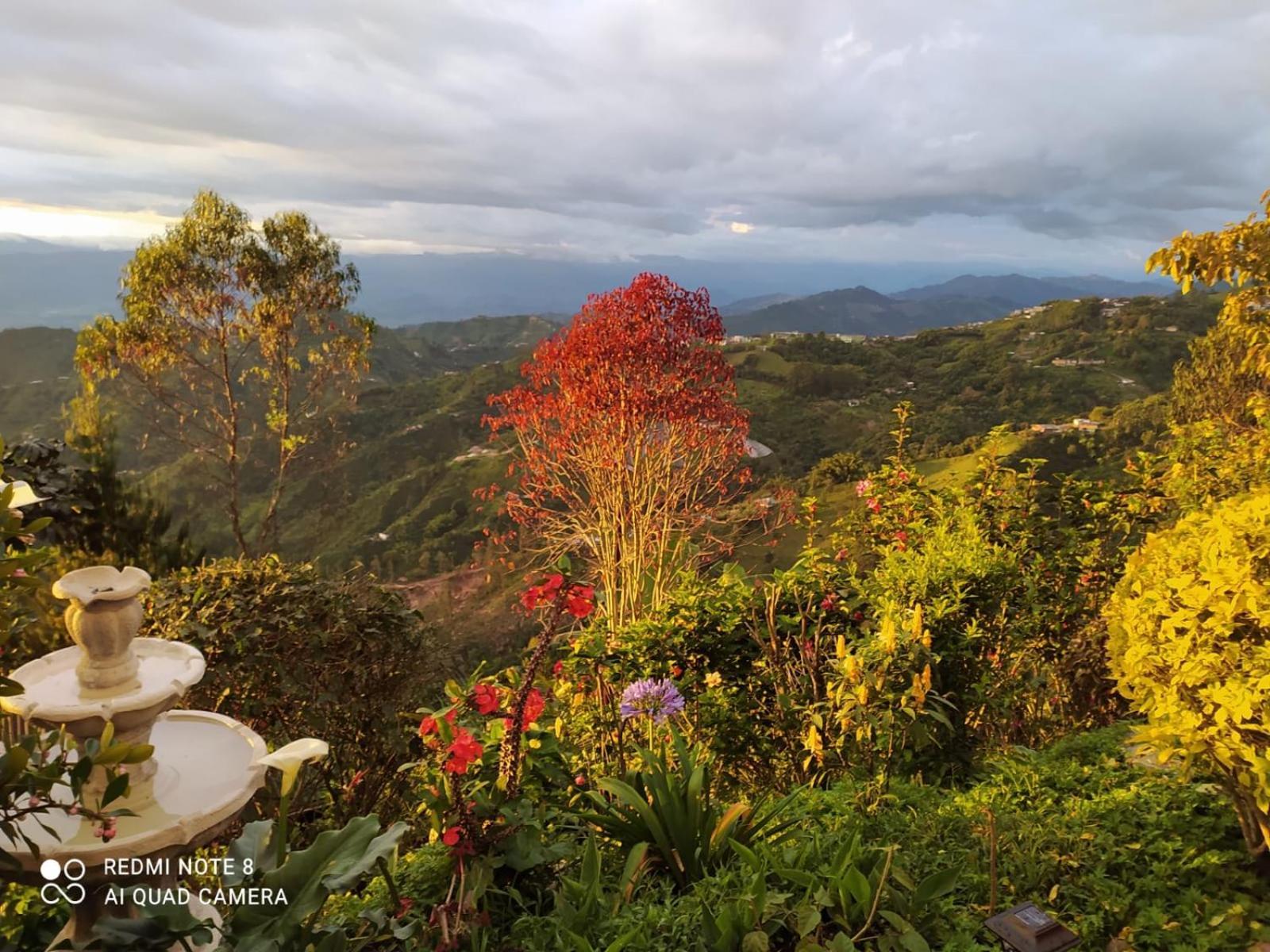 Mirador Finca Morrogacho Manizales Exterior photo