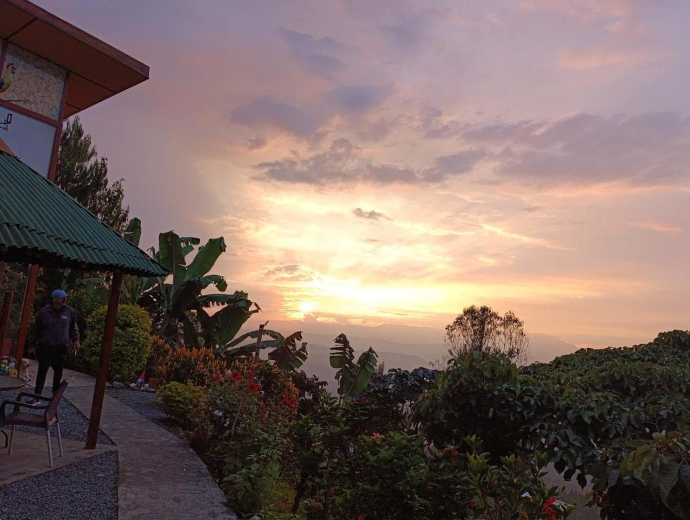 Mirador Finca Morrogacho Manizales Exterior photo