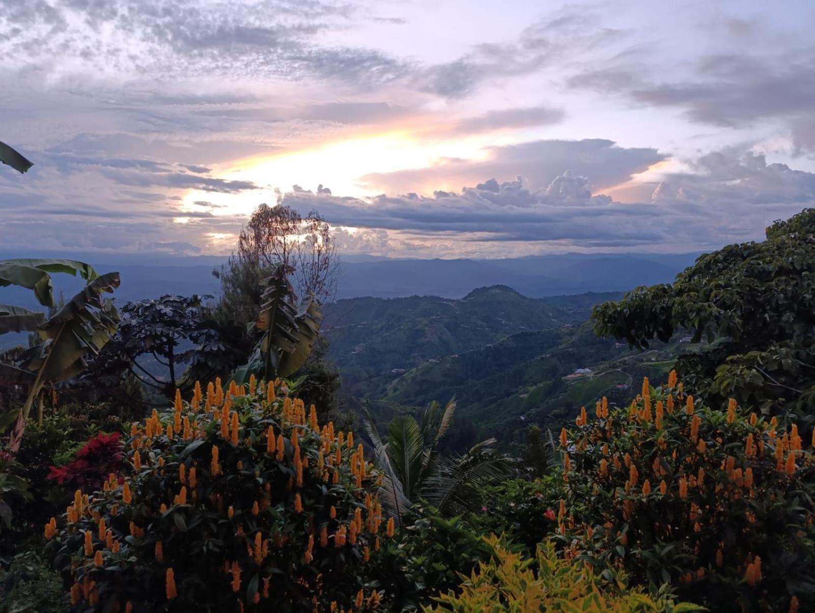Mirador Finca Morrogacho Manizales Exterior photo
